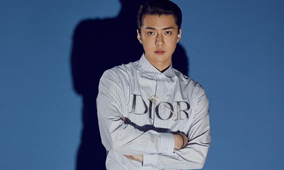 EXO's Sehun Is The Official Global Ambassador Of Dior Men Korea