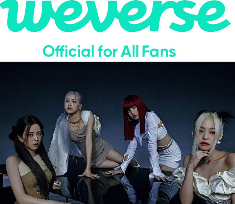 Netizens Express Extreme Excitement To See BLACKPINK And Other YG Groups On Weverse