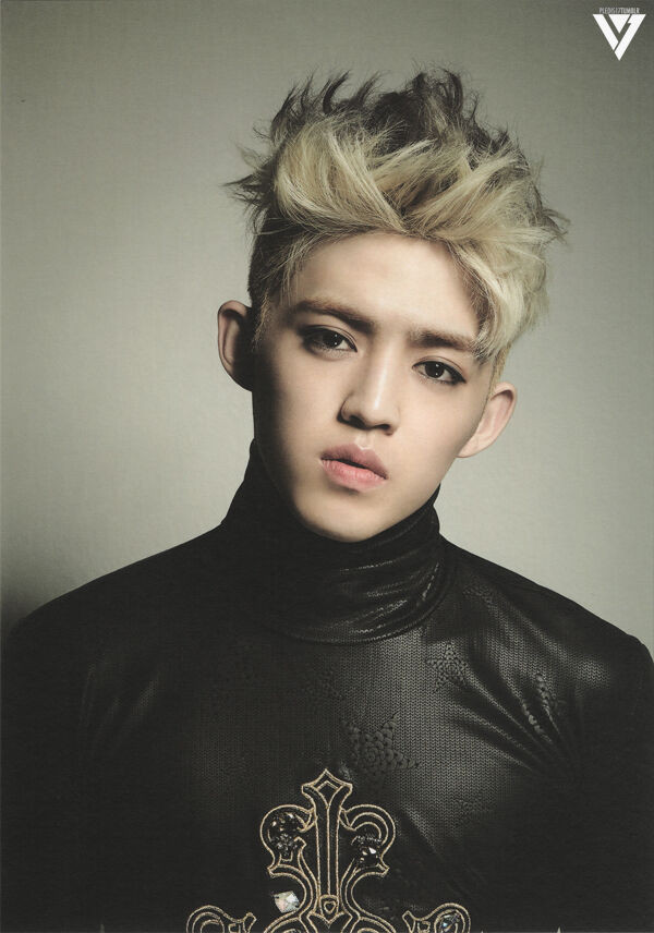 S.Coups Temporarily Halts Promotion Due To Shoulder Injury