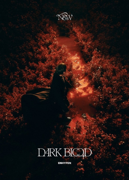 ENHYPEN Teases Intense Red 'DARK BLOOD' Mood Board, Master of Concepts ...