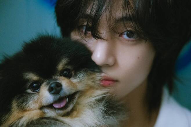BTS V Dominates Global Charts with Pre-release Tracks Ahead of Solo Album 'Layover'