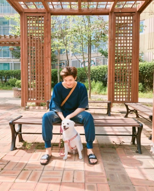 BTS's RM Mourns the Loss of His Beloved Pet, Moni: 'Our Family Hasn't Fully Recovered'